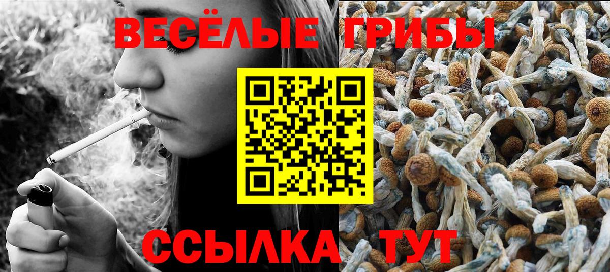 Бошки Шишки Каспийск