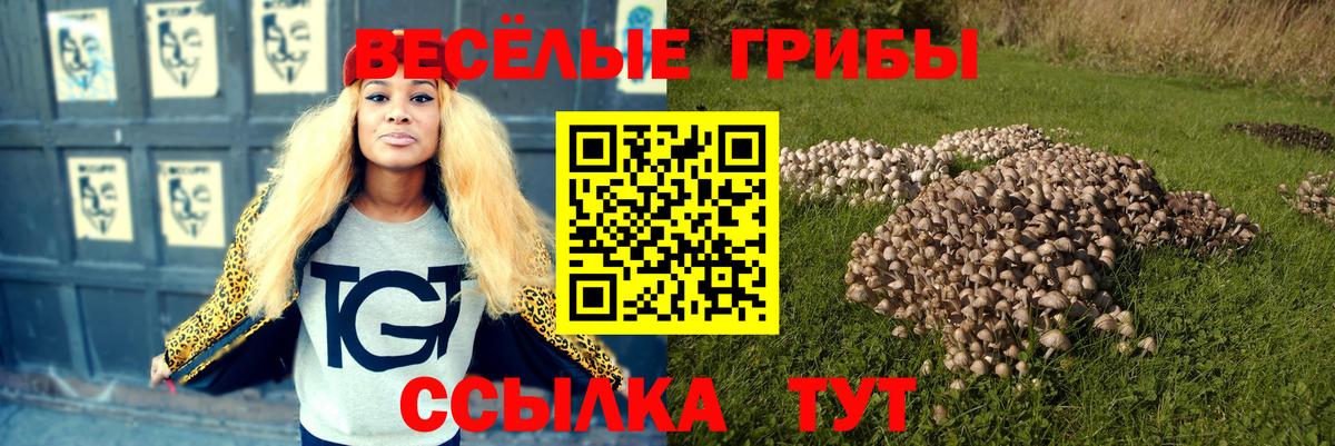 Галлюциногенные грибы ЛСД  Вход с VPN  Каспийск 